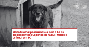 Caso Orelha: polícia indicia pais e tio de adolescentes suspeitos de maus-tratos a animal em SC