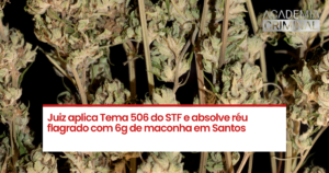 Juiz aplica Tema 506 do STF e absolve réu flagrado com 6g de maconha em Santos